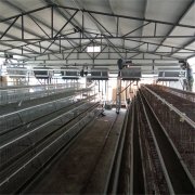 现全从动的填料机